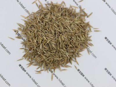 紫羊茅种子
