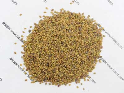 草木犀种子