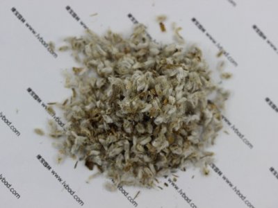 永生菊种子