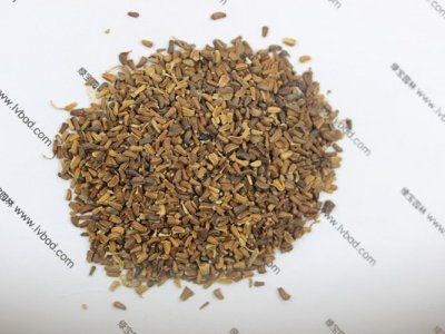 茼蒿菊种子