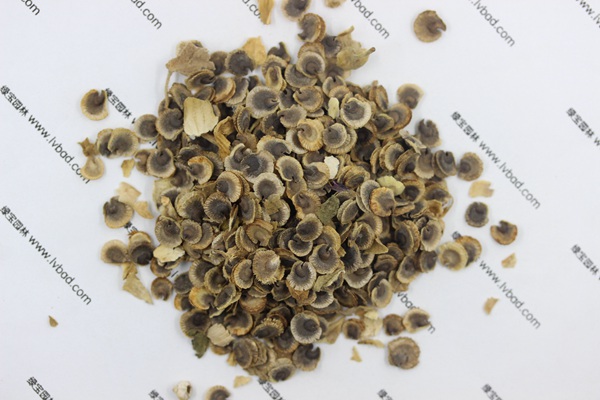 <a href='https://www.lvbad.com/caohuazhongzi/1625.html' target='_blank'>蜀葵</a><a href='https://www.lvbad.com/' target='_blank'>种子</a>