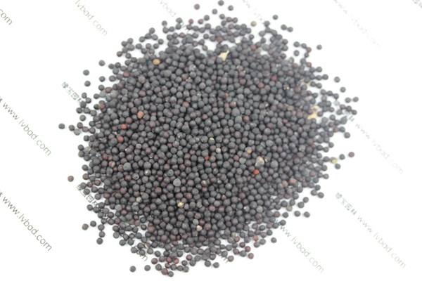 <a href='https://www.lvbad.com/caohuazhongzi/1595.html' target='_blank'>满天星</a><a href='https://www.lvbad.com/' target='_blank'>种子</a>