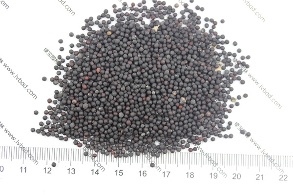 <a href='https://www.lvbad.com/caohuazhongzi/1595.html' target='_blank'>满天星</a><a href='https://www.lvbad.com/' target='_blank'>种子</a>