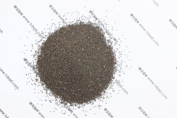 柳穿鱼<a href='https://www.lvbad.com/' target='_blank'>种子</a>
