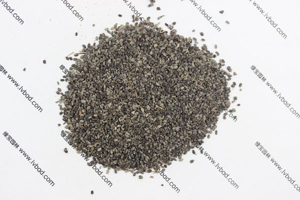 <a href='https://www.lvbad.com/caohuazhongzi/1581.html' target='_blank'>留兰香薄荷种子</a>