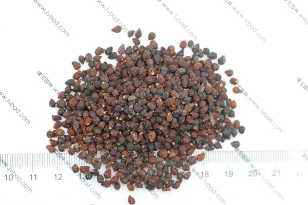 蓝花<a href='https://www.lvbad.com/caohuazhongzi/1578.html' target='_blank'>鸢尾种子</a>