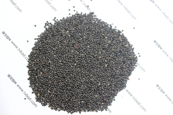 <a href='https://www.lvbad.com/caohuazhongzi/1076.html' target='_blank'>鸡冠花</a><a href='https://www.lvbad.com/' target='_blank'>种子</a>