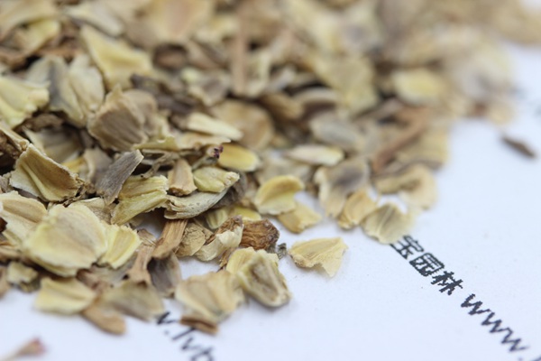 <a href='https://www.lvbad.com/caohuazhongzi/1067.html' target='_blank'>花环菊</a><a href='https://www.lvbad.com/' target='_blank'>种子</a>