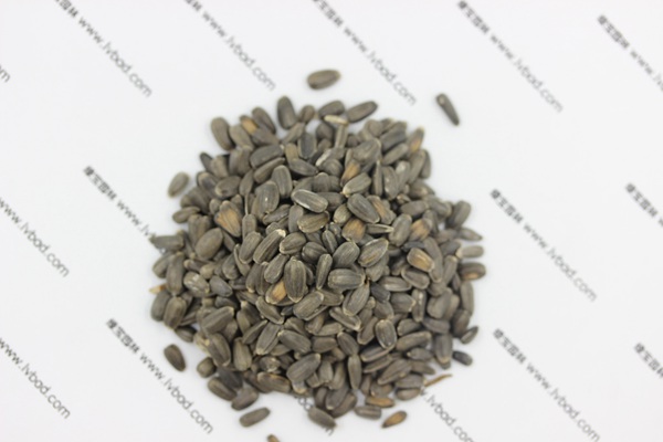 <a href='https://www.lvbad.com/caohuazhongzi/1057.html' target='_blank'>观赏向日葵种子</a> <a href='https://www.lvbad.com/caohuazhongzi/1057.html' target='_blank'>观赏向日葵种子</a>