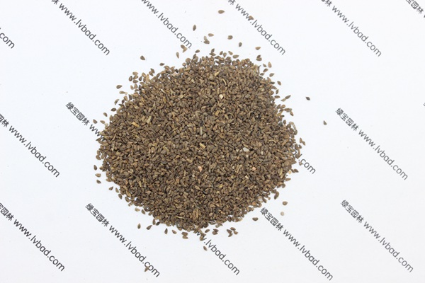 <a href='https://www.lvbad.com/caohuazhongzi/1056.html' target='_blank'>古代稀种子</a>