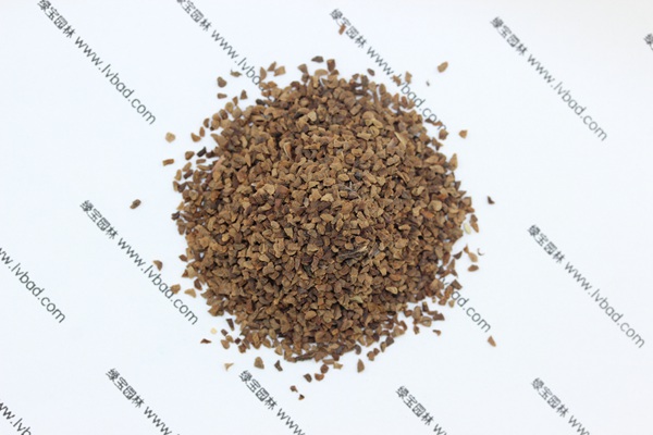 <a href='https://www.lvbad.com/caohuazhongzi/1042.html' target='_blank'>吊钟柳</a><a href='https://www.lvbad.com/' target='_blank'>种子</a>