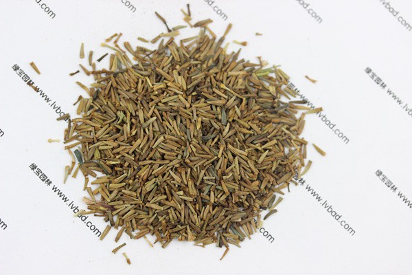 <a href='https://www.lvbad.com/caohuazhongzi/1031.html' target='_blank'>除虫菊</a><a href='https://www.lvbad.com/' target='_blank'>种子</a>