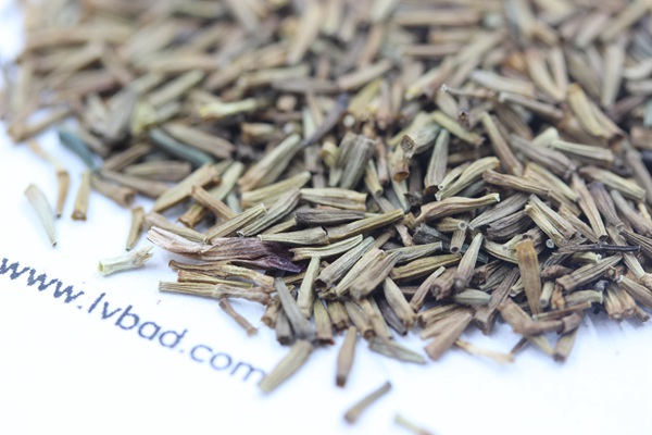 <a href='https://www.lvbad.com/caohuazhongzi/1031.html' target='_blank'>除虫菊</a><a href='https://www.lvbad.com/' target='_blank'>种子</a>