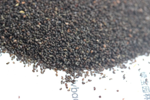 <a href='https://www.lvbad.com/caohuazhongzi/1025.html' target='_blank'>冰岛虞美人种子</a>