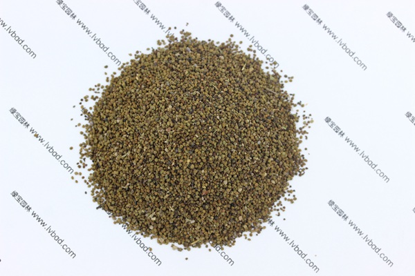 <a href='https://www.lvbad.com/caohuazhongzi/1022.html' target='_blank'>半枝莲</a><a href='https://www.lvbad.com/' target='_blank'>种子</a>