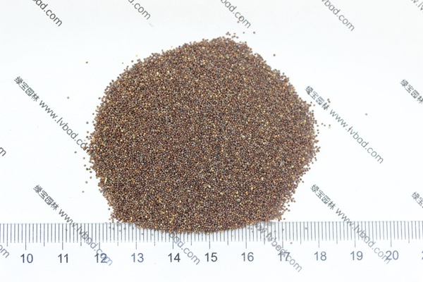 矮牵<a href='https://www.lvbad.com/' target='_blank'>种子</a>