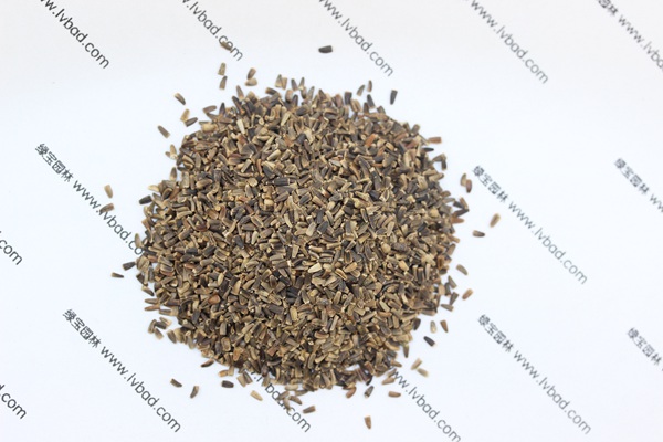<a href='https://www.lvbad.com/mucaozhongzi/14254.html' target='_blank'>菊苣</a><a href='https://www.lvbad.com/' target='_blank'>种子</a>