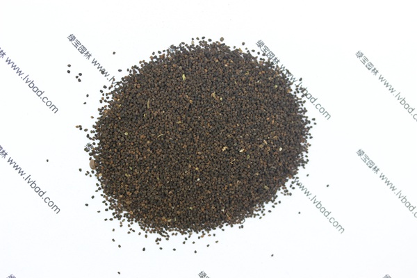 <a href='https://www.lvbad.com/caohuazhongzi/1569.html' target='_blank'>金鱼草</a><a href='https://www.lvbad.com/' target='_blank'>种子</a>