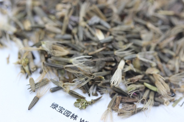 <a href='https://www.lvbad.com/caohuazhongzi/1620.html' target='_blank'>蛇鞭菊种子</a>