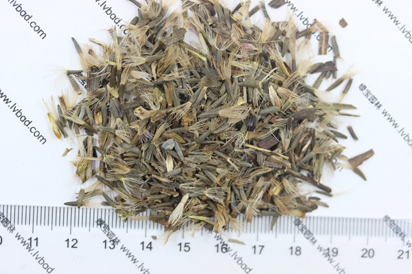 <a href='https://www.lvbad.com/caohuazhongzi/1620.html' target='_blank'>蛇鞭菊种子</a>