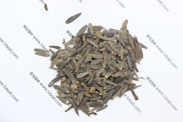 <a href='https://www.lvbad.com/caohuazhongzi/1642.html' target='_blank'>小丽花</a><a href='https://www.lvbad.com/' target='_blank'>种子</a>