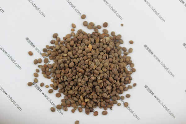 <a href='https://www.lvbad.com/caohuazhongzi/1655.html' target='_blank'>指甲花种子</a>