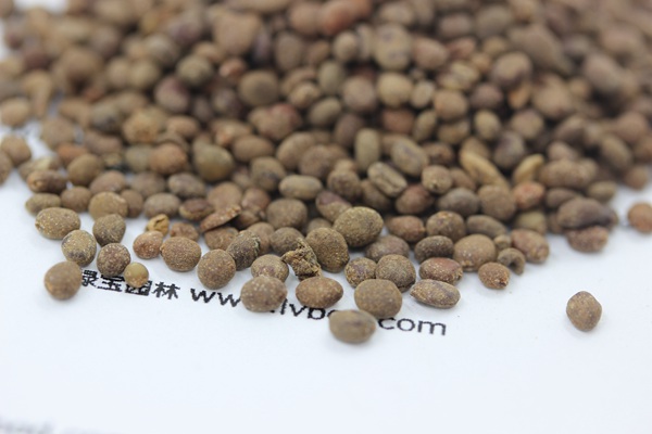 <a href='https://www.lvbad.com/caohuazhongzi/1655.html' target='_blank'>指甲花</a><a href='https://www.lvbad.com/' target='_blank'>种子</a>