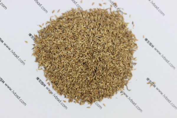 中华<a href='https://www.lvbad.com/caopingzhongzi/1671.html' target='_blank'>结缕草种子</a>