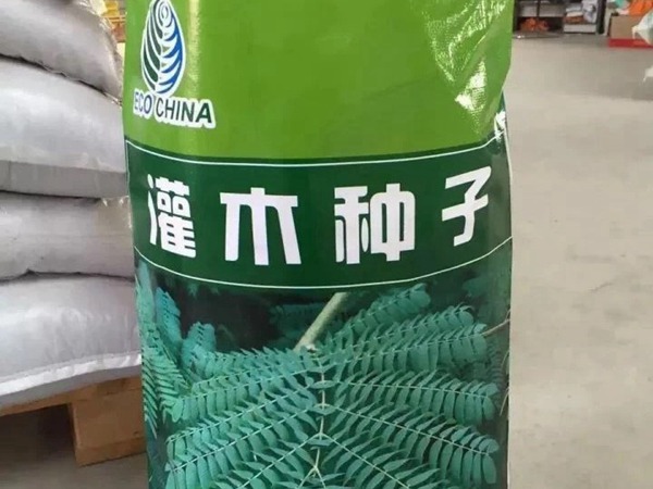 <a href='https://www.lvbad.com/linmuzhongzi/2217.html' target='_blank'>车桑子种子</a>