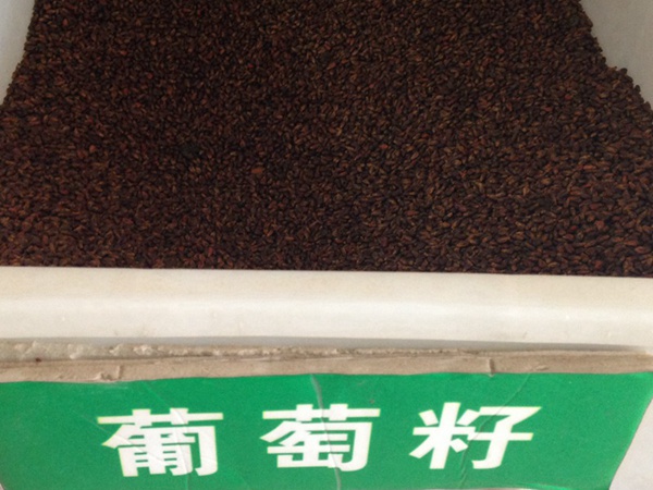 <a href='https://www.lvbad.com/guoshuzhongzi/1887.html' target='_blank'>葡萄</a><a href='https://www.lvbad.com/' target='_blank'>种子</a>