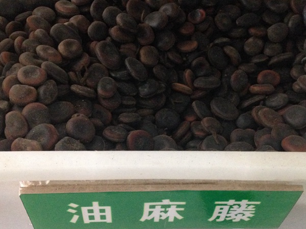<a href='https://www.lvbad.com/linmuzhongzi/2188.html' target='_blank'>油麻藤种子</a>