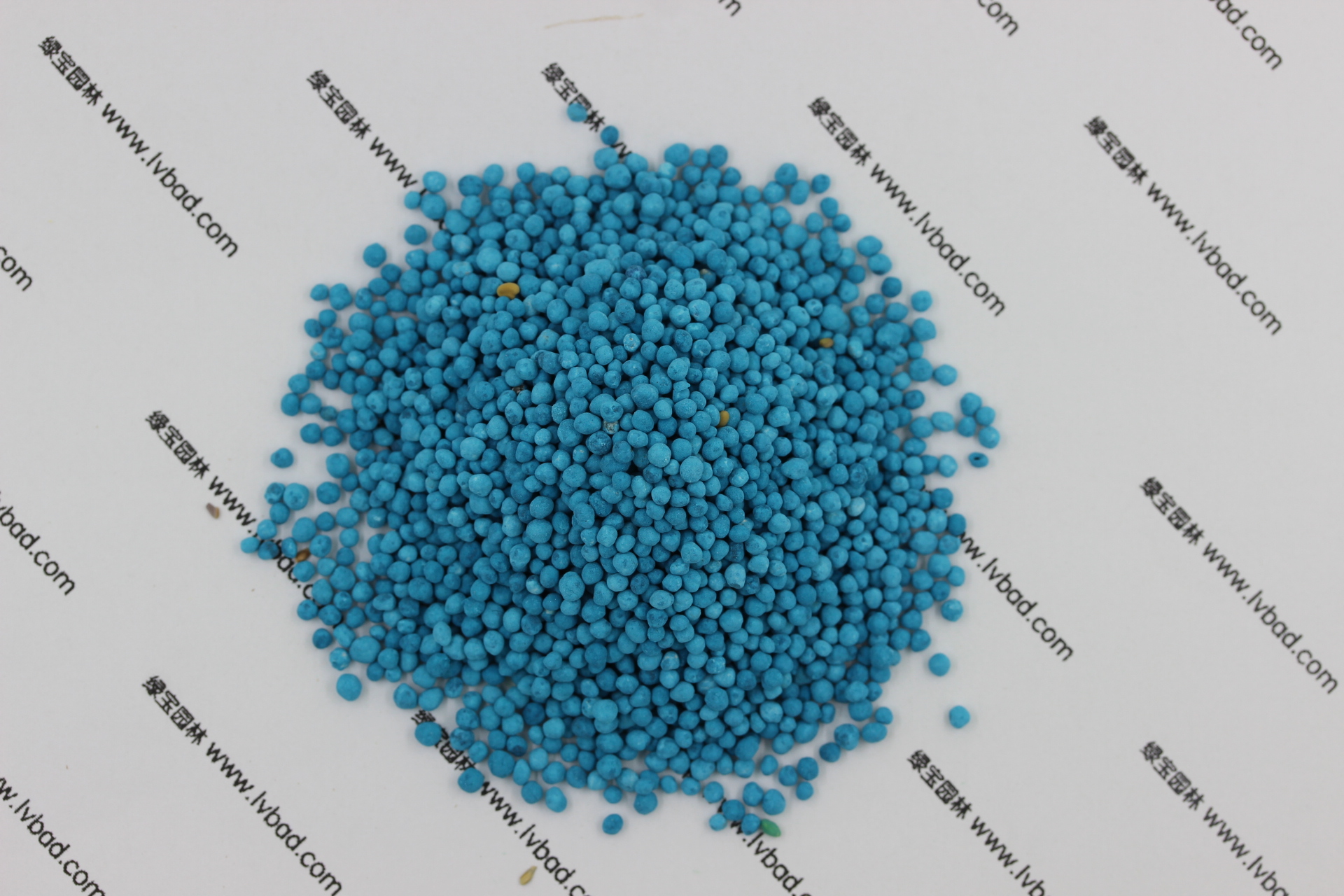 <a href='https://www.lvbad.com/caopingzhongzi/1672.html' target='_blank'>马蹄金种子</a>