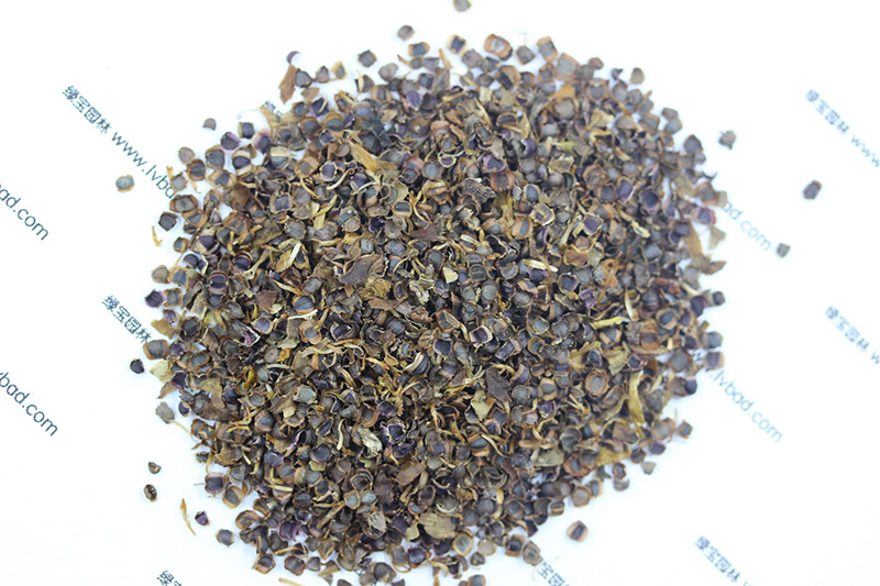 <a href='https://www.lvbad.com/caohuazhongzi/1568.html' target='_blank'>金鸡菊种子</a>