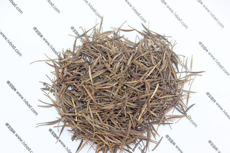 <a href='https://www.lvbad.com/caohuazhongzi/1583.html' target='_blank'>硫华菊种子</a>