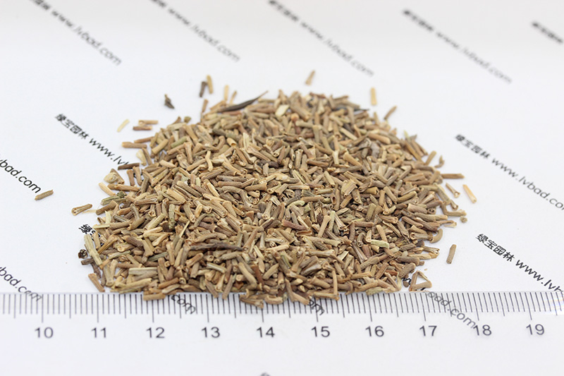 <a href='https://www.lvbad.com/caohuazhongzi/1600.html' target='_blank'>美女樱种子</a>