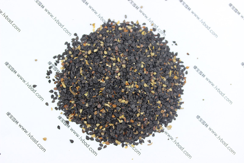 <a href='https://www.lvbad.com/caohuazhongzi/97045.html' target='_blank'>石竹</a><a href='https://www.lvbad.com/' target='_blank'>种子</a>