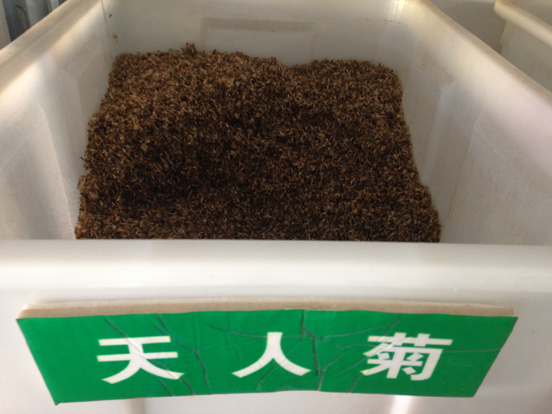 <a href='https://www.lvbad.com/caohuazhongzi/16044.html' target='_blank'>天人菊</a><a href='https://www.lvbad.com/' target='_blank'>种子</a>