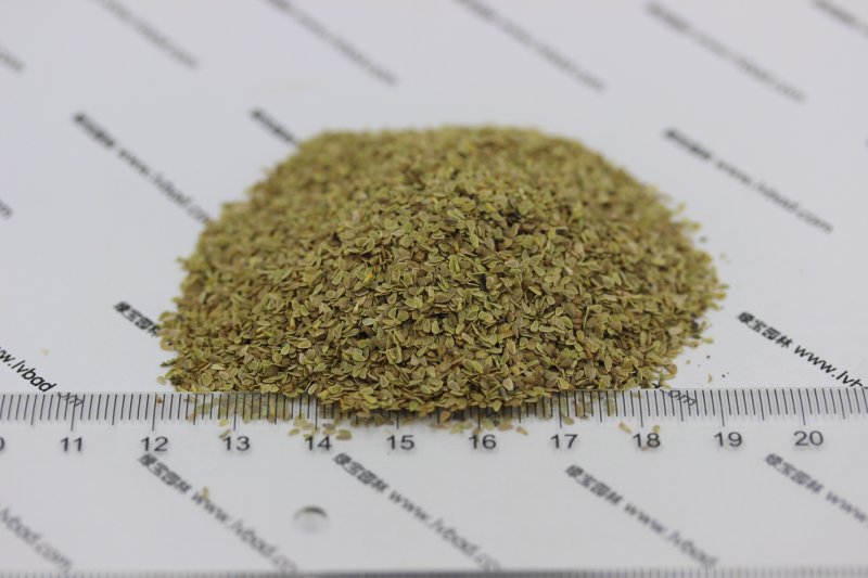 雏菊<a href='https://www.lvbad.com/' target='_blank'>种子</a>