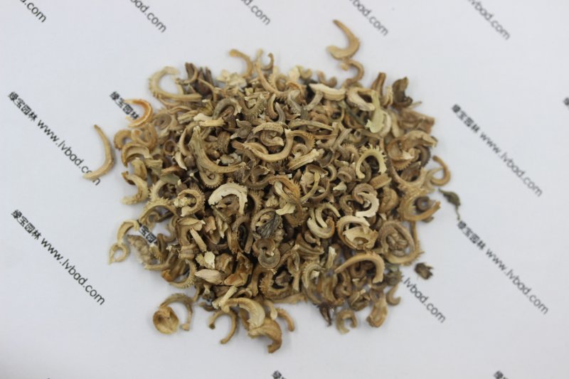 <a href='https://www.lvbad.com/caohuazhongzi/1571.html' target='_blank'>金盏菊</a><a href='https://www.lvbad.com/' target='_blank'>种子</a>图片