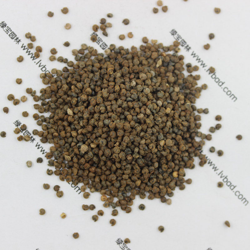 <a href='https://www.lvbad.com/caohuazhongzi/1659.html' target='_blank'>醉蝶花种子</a>