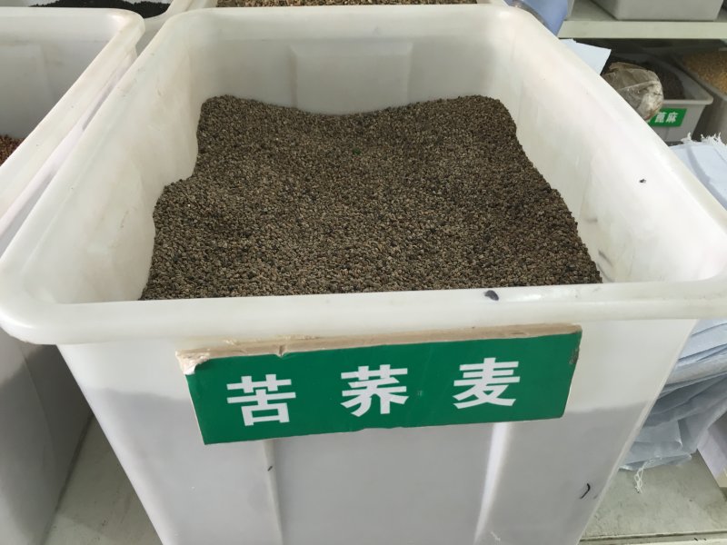 <a href='https://www.lvbad.com/yaocaizhongzi/2311.html' target='_blank'>荞麦种子</a>