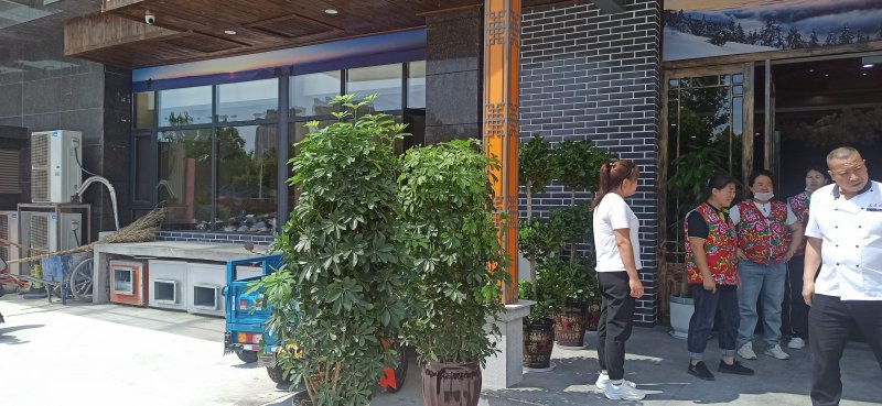 绿植植物室内室外绿色植物花卉