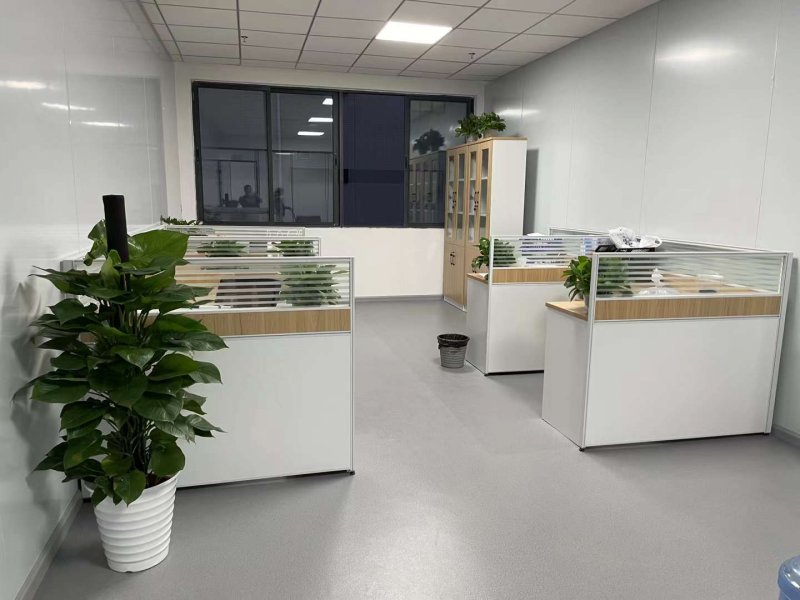 绿植植物室内室外绿色植物花卉