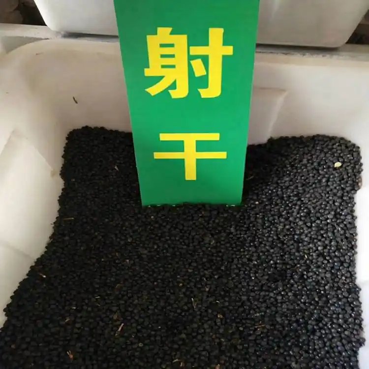 射干苗种子